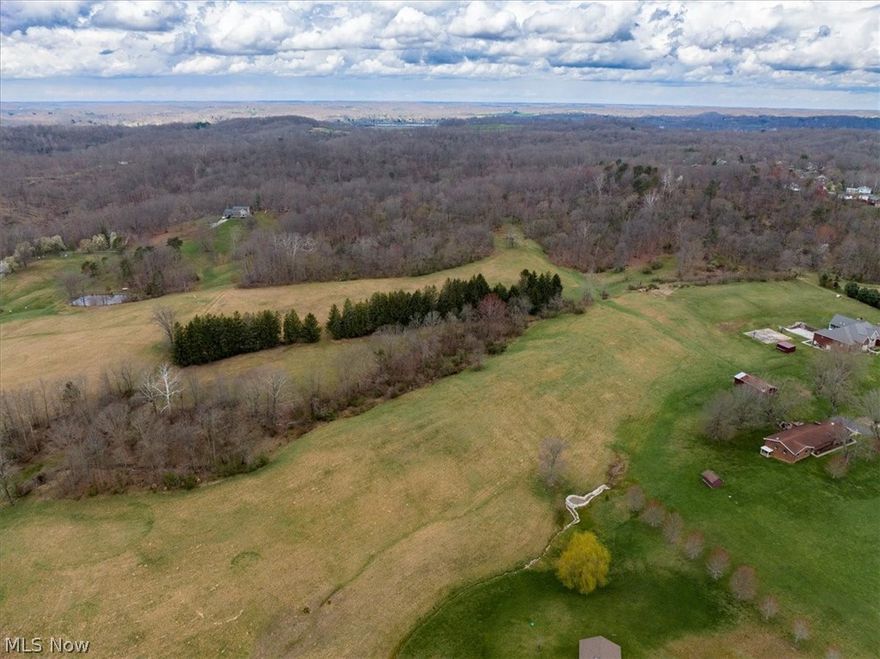 A great investment awaits! 122+ Acres of Prime Real Estate in a Fantastic Location just minutes from town offers endless opportunities & has unlimited useful life! From the gorgeous meadows, open fields, huge pines, fantastic views, and semi-wooded to fully wooded areas this land offers an abundance of exceptional building sites both open & private, hunting galore with turkey, deer, & all the wildlife you would ever want to enjoy, ATV trails & more! Perfect for the developer, the farmer, the hunter, or that family unit looking to build their dream homes & still have plenty of room to roam enjoying ALL that the outdoors has to offer. No restrictions apply, utilities are available & all Mineral Rights do convey! Parts of the land have been timbered approx 15-17 years ago however, timber will be available in the years to come. With 60 ft of road frontage, this land contains 2 parcels (44.6 acres & 79 acres) & extends from Smitherman Rd all the way back to Dupont Park. This beautiful land