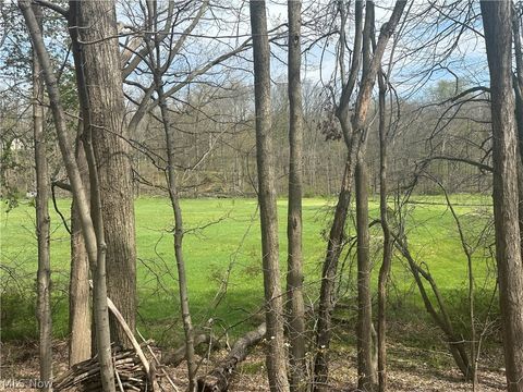 Tiny photo for V/L Newton Drive, Wadsworth, OH 44281 (MLS # 5203254)