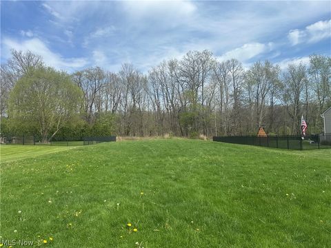 Tiny photo for V/L Newton Drive, Wadsworth, OH 44281 (MLS # 5203254)
