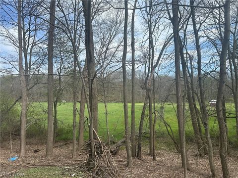 Tiny photo for V/L Newton Drive, Wadsworth, OH 44281 (MLS # 5203254)