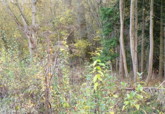 Experience a marriage of serene open land and private woods in Perry Township. Available for purchase soon, these gorgeous lots are a perfect stepping stone in building your dream home! Welcome to Southridge Estates, a gathering of buildable lots in Perry, Ohio. On the corner of South Ridge Road and Narrows Road, new home-owners will be neighbors to some of Lake County’s most favored attractions. Become a local to the Lake Erie Bluffs, a myriad of luxurious wineries and dining, and other surrounding amenities that make Cleveland’s east-side suburbs so appealing. The lots at Southridge Estates are equipped with public water, electricity, and gas! With 2+ acres of surrounding nature, this opportunity is one of kind. Build now or purchase the lot to build in the future!!