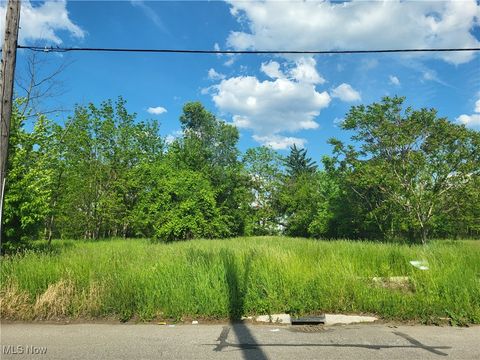 Vacant Land For Sale - 3441 E 128th Street<br/> Cleveland, OH 44120