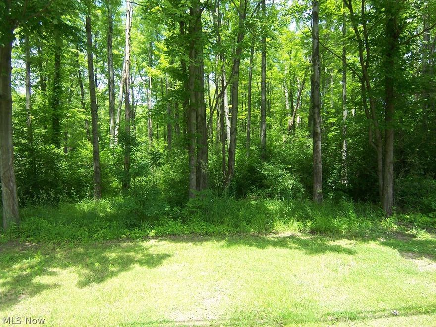 Lot is NOT buildable at this time.....Almost 1 acre of land.... Property has been surveyed. Parcel measures 100x435.6. City water at street.