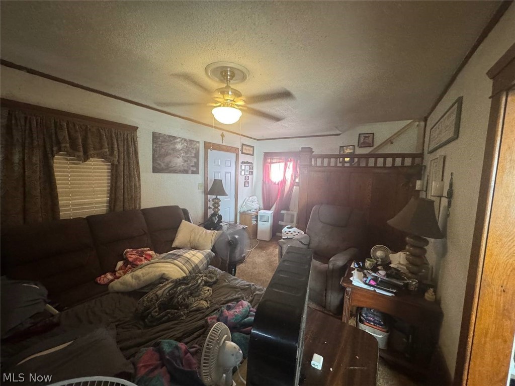 Belle Terrace - Residential