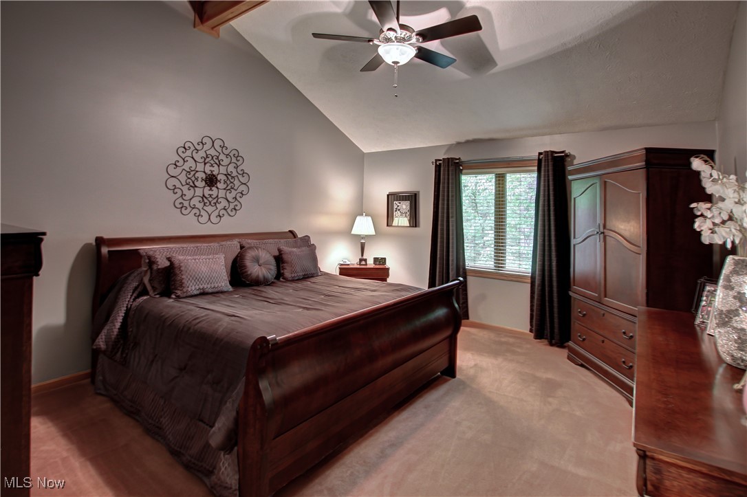 3936 Burgundy Bay Boulevard, Medina, Ohio image 16