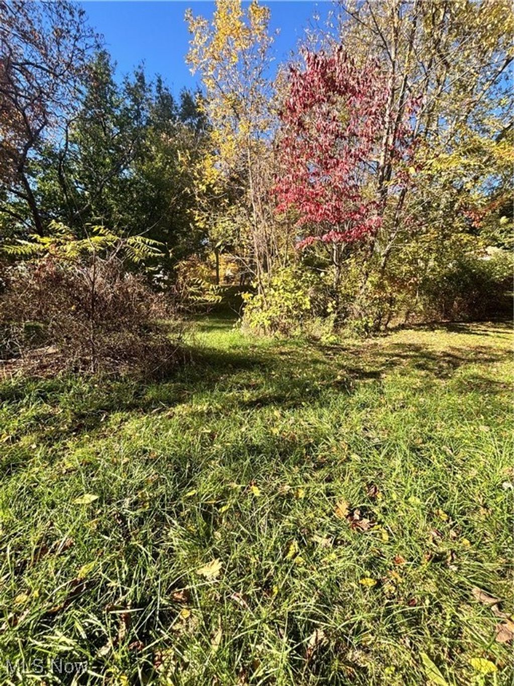 Photo of 1054 Crestline Drive, Akron, OH 44312 (MLS # 5167921)