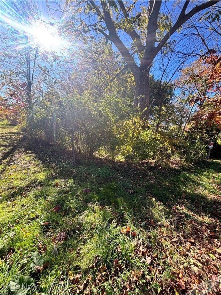 Looking for land? Then this is your opportunity. TWO PARCELS located in Springfield AREA. Minutes from Shopping, and the ability to access Community Parks. Don't hesitate, schedule your showing today.