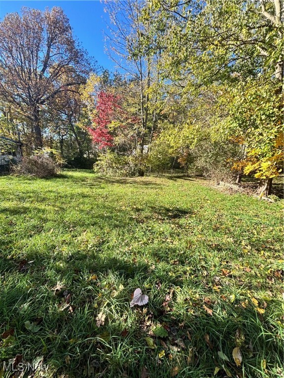 Lucy S Stevens Shadybrook Allo - Land