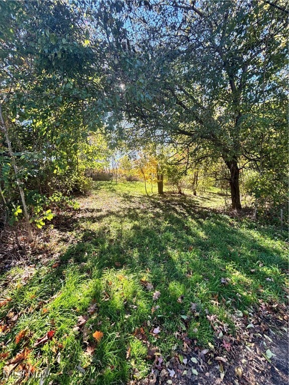 Lucy S Stevens Shadybrook Allo - Land