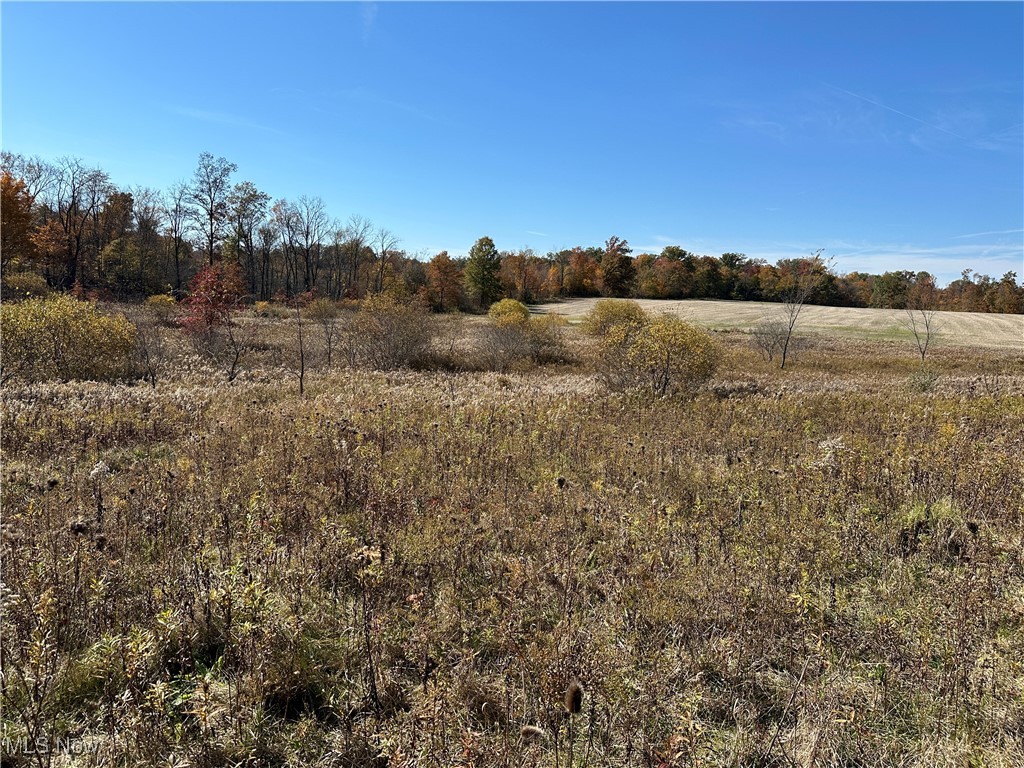 3229 Prairie Circle, Diamond, Ohio image 4