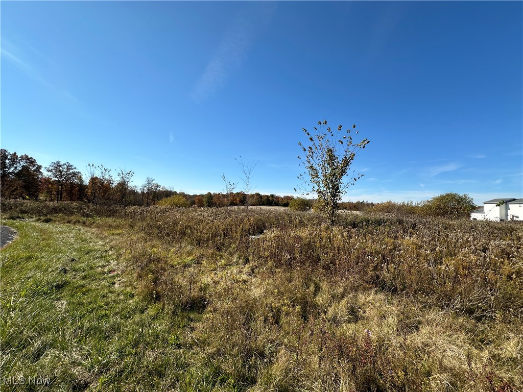 3229 Prairie Circle, Diamond, Ohio image 9