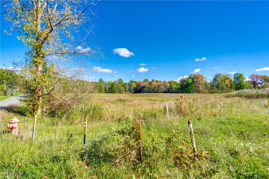 VL Ridgehill Avenue, Alliance, Ohio image 3