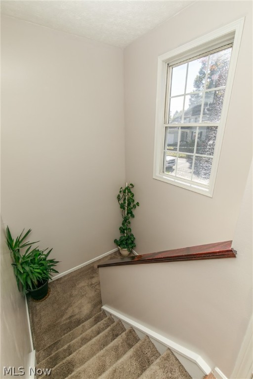 Cloverdale - Residential