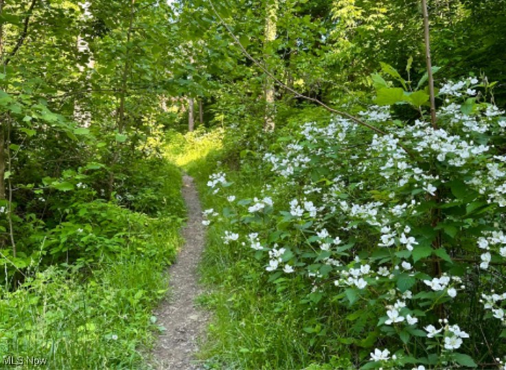 Valley View - Residential