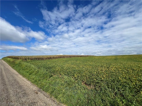 Vacant Land For Sale - Tr 463<br/> Loudonville, OH 44842