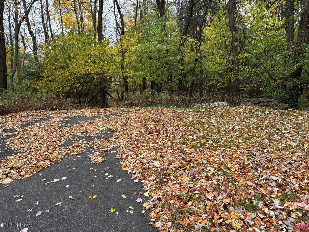 Forest Hill 31 - Residential