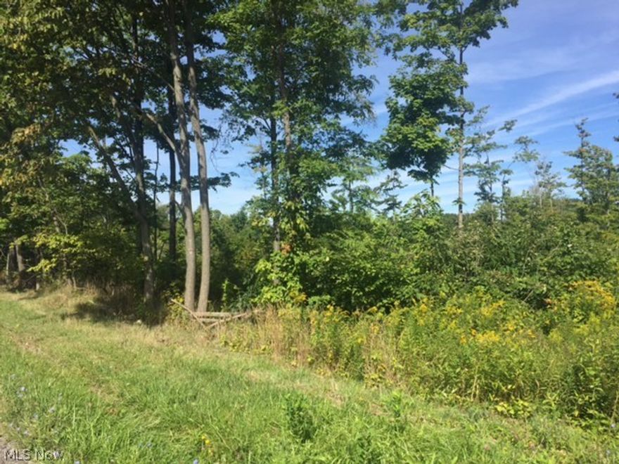 5 acres of wooded, vacant land within Minerva or West Branch School District...your choice.  Frontage on Mountz Road in Homeworth.  Desirable location.  This property is 5 acres within the parcel # 31-00259.  Subject to septic inspections.  Call agent for more info.