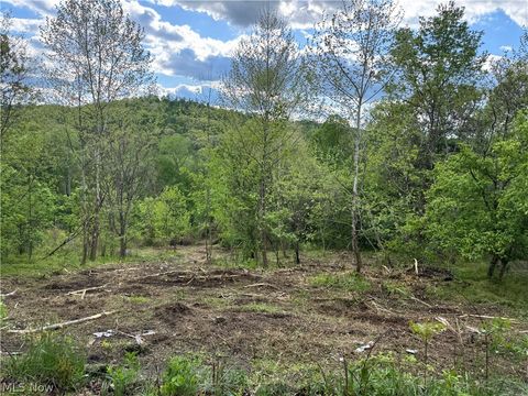 Vacant Land For Sale - 208 Easy Street<br/> Harrison County, Freeport, OH 43973