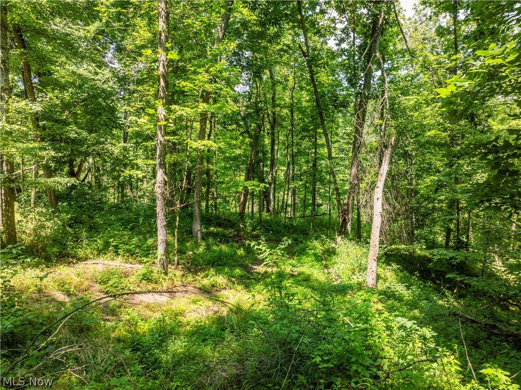 Lot 9 Township Rd 51
