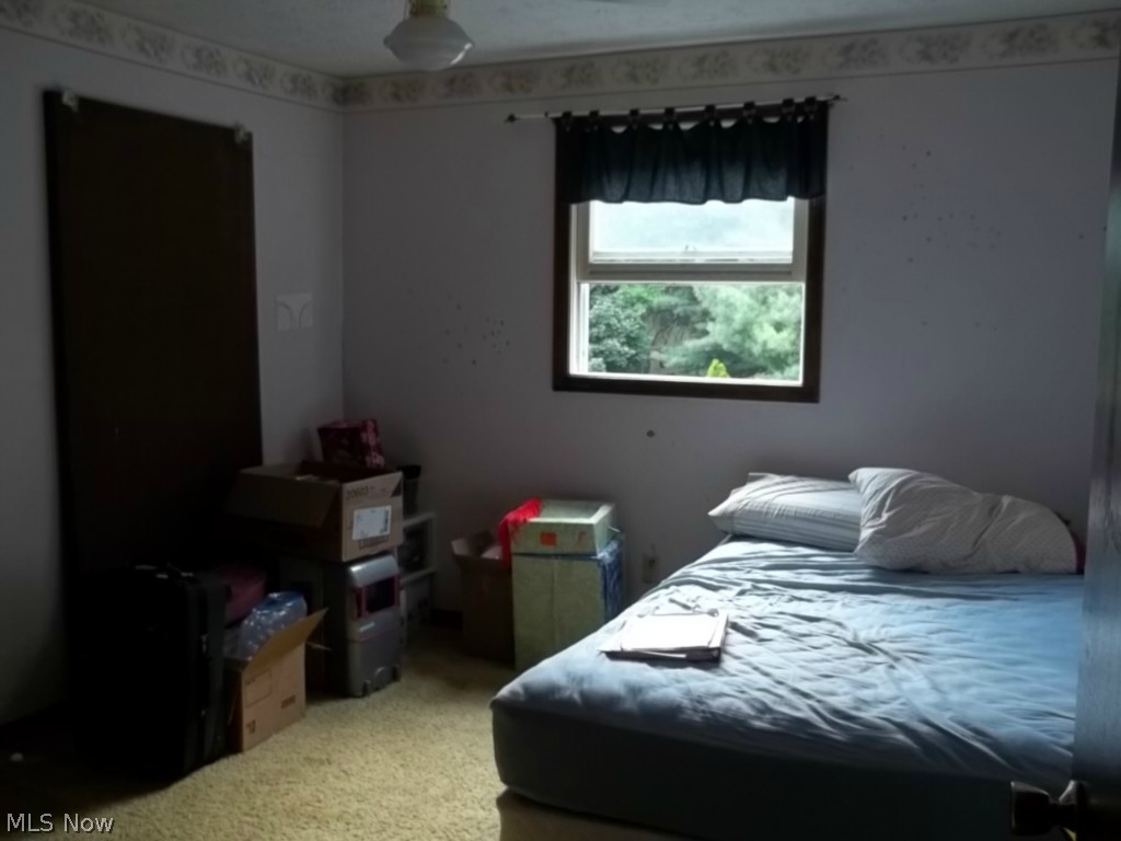 Jackson Meadows - Residential