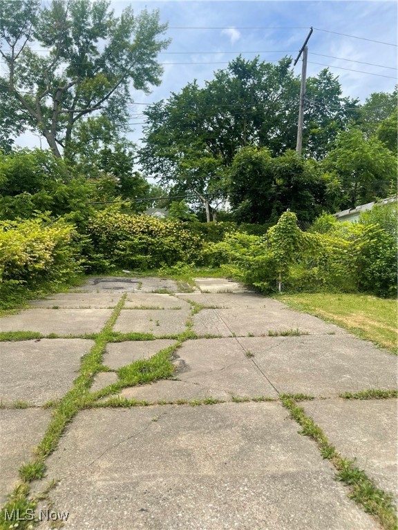 Cleveland, Ohio 44120, United States, 3 Bedrooms Bedrooms, ,1 BathroomBathrooms,Residential,Active,168784