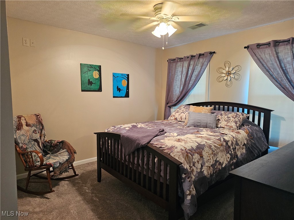 13917 Mason Road, Vermilion, Ohio image 12