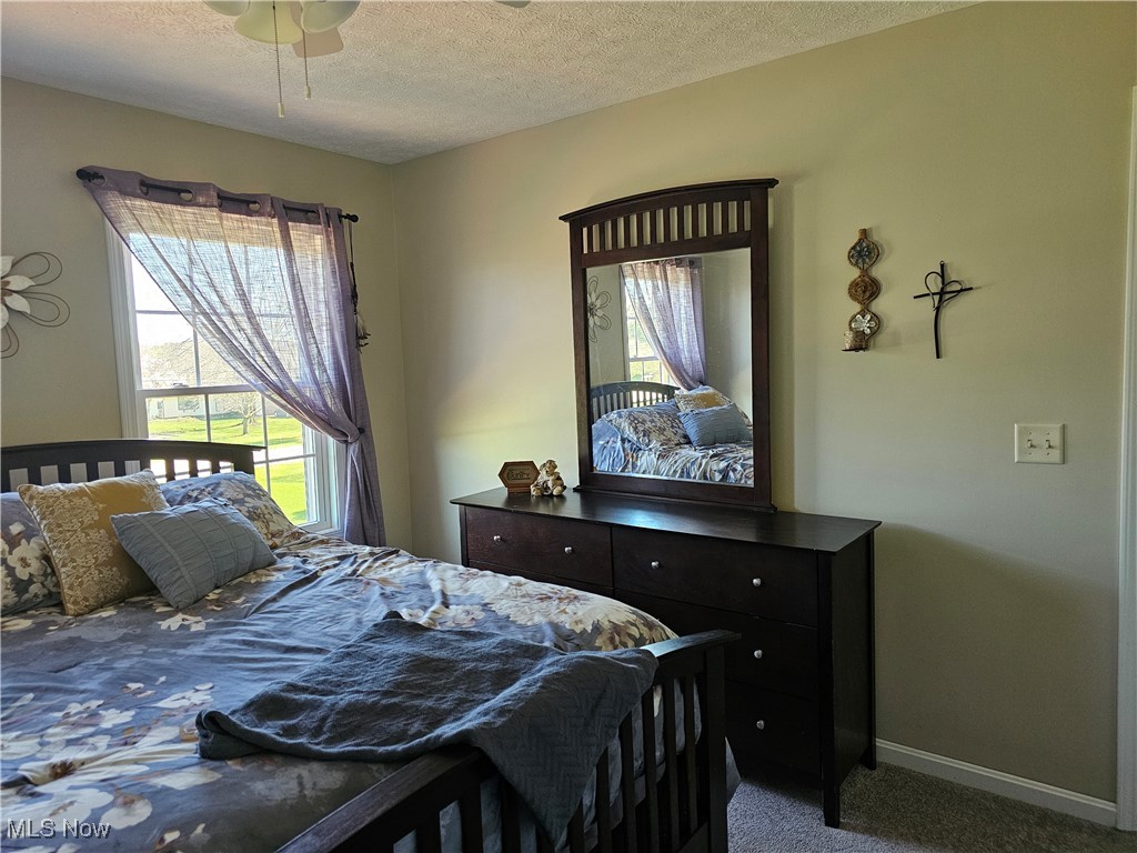 13917 Mason Road, Vermilion, Ohio image 15