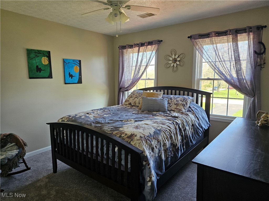 13917 Mason Road, Vermilion, Ohio image 16