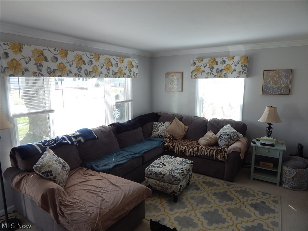 Big Falls - Residential