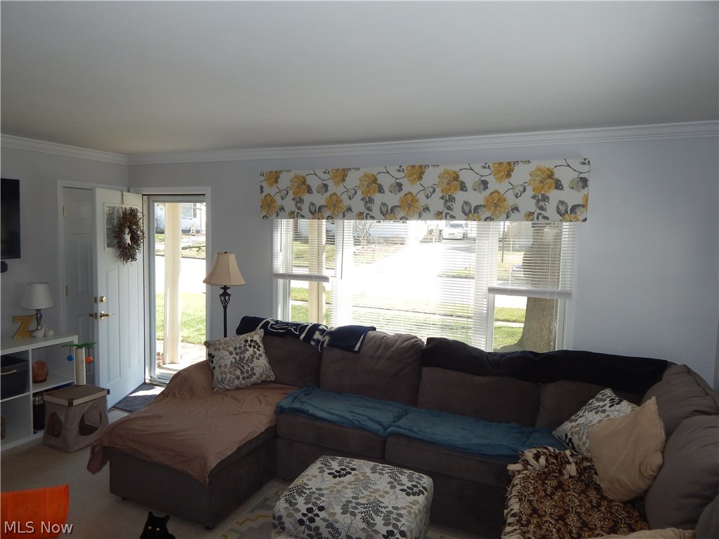 Big Falls - Residential