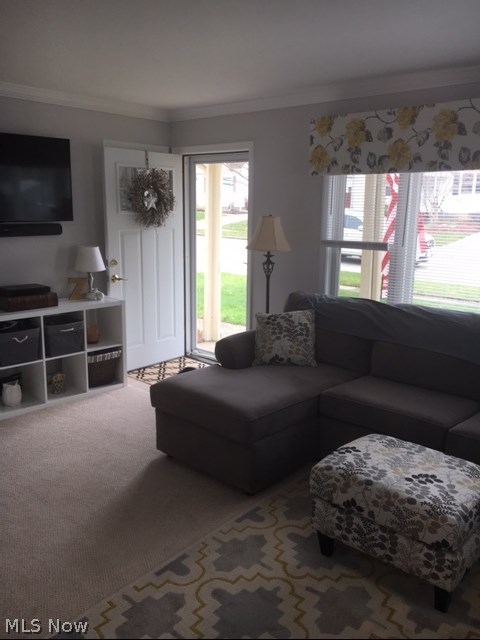 Big Falls - Residential