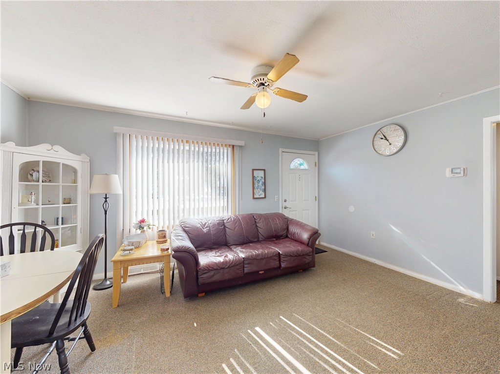 Geauga Lake Fruitland - Residential