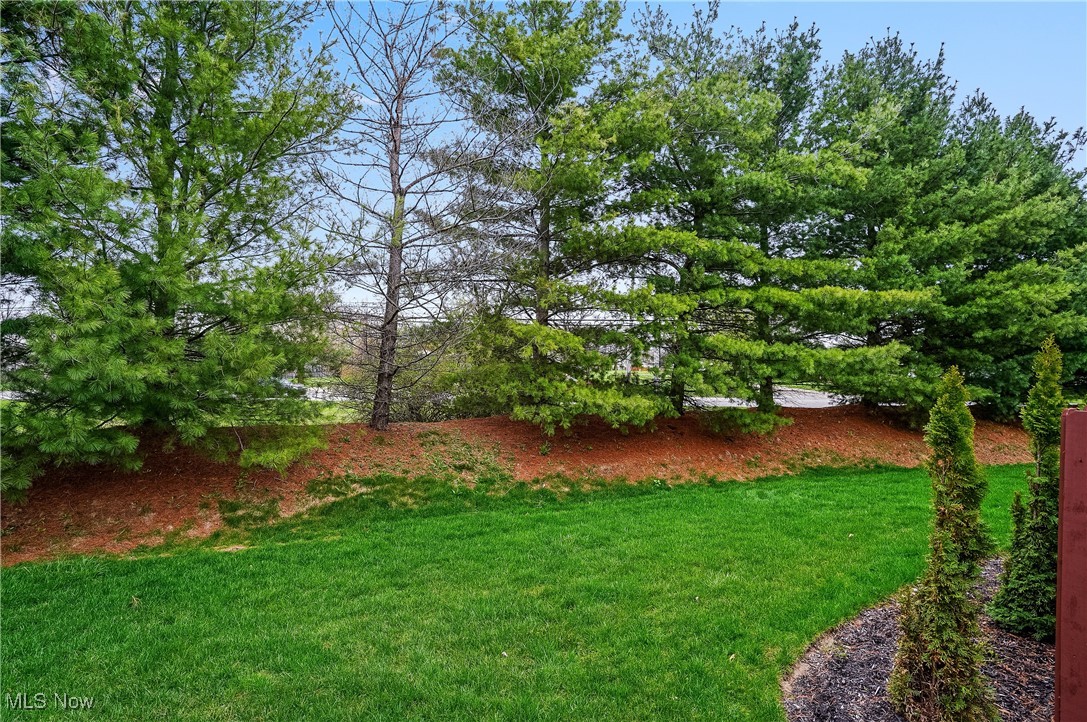 651 Sturbridge Drive, Medina, Ohio image 35
