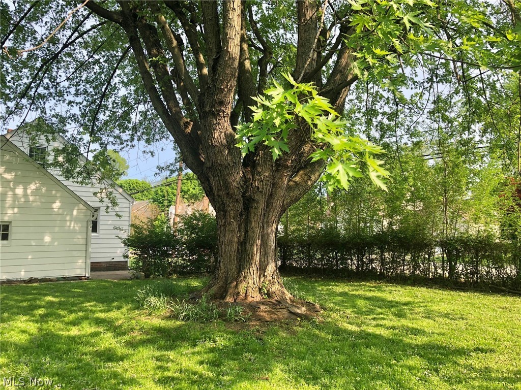 Canton - Residential