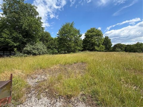 Tiny photo for 15441 Johnson Road, Lisbon, OH 44432 (MLS # 5216371)