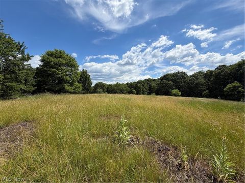 Tiny photo for 15441 Johnson Road, Lisbon, OH 44432 (MLS # 5216371)