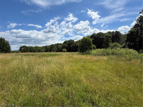 Tiny photo for 15441 Johnson Road, Lisbon, OH 44432 (MLS # 5216371)