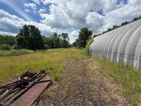 Tiny photo for 15441 Johnson Road, Lisbon, OH 44432 (MLS # 5216371)