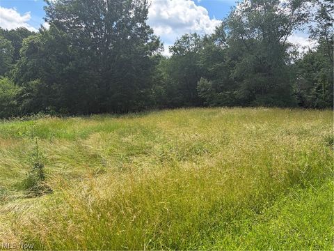 Tiny photo for 15441 Johnson Road, Lisbon, OH 44432 (MLS # 5216371)