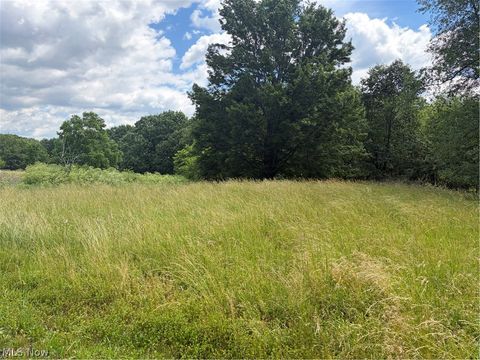 Tiny photo for 15441 Johnson Road, Lisbon, OH 44432 (MLS # 5216371)