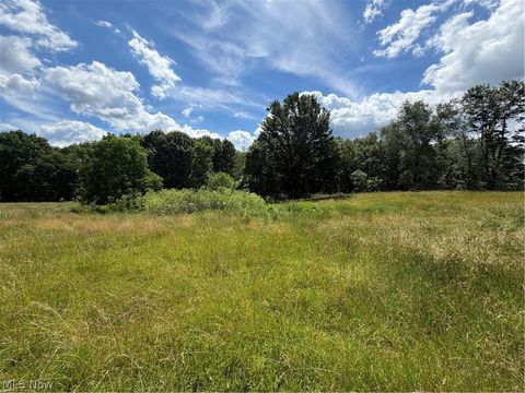 Tiny photo for 15441 Johnson Road, Lisbon, OH 44432 (MLS # 5216371)