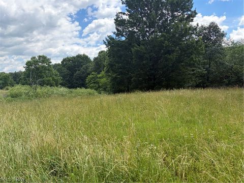 Tiny photo for 15441 Johnson Road, Lisbon, OH 44432 (MLS # 5216371)