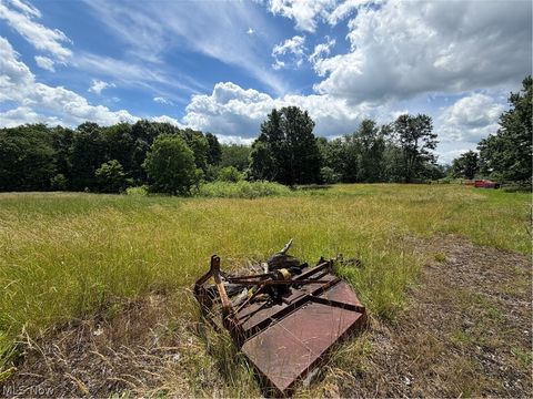 Tiny photo for 15441 Johnson Road, Lisbon, OH 44432 (MLS # 5216371)