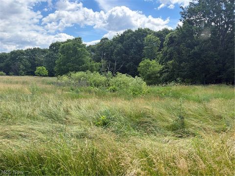 Tiny photo for 15441 Johnson Road, Lisbon, OH 44432 (MLS # 5216371)