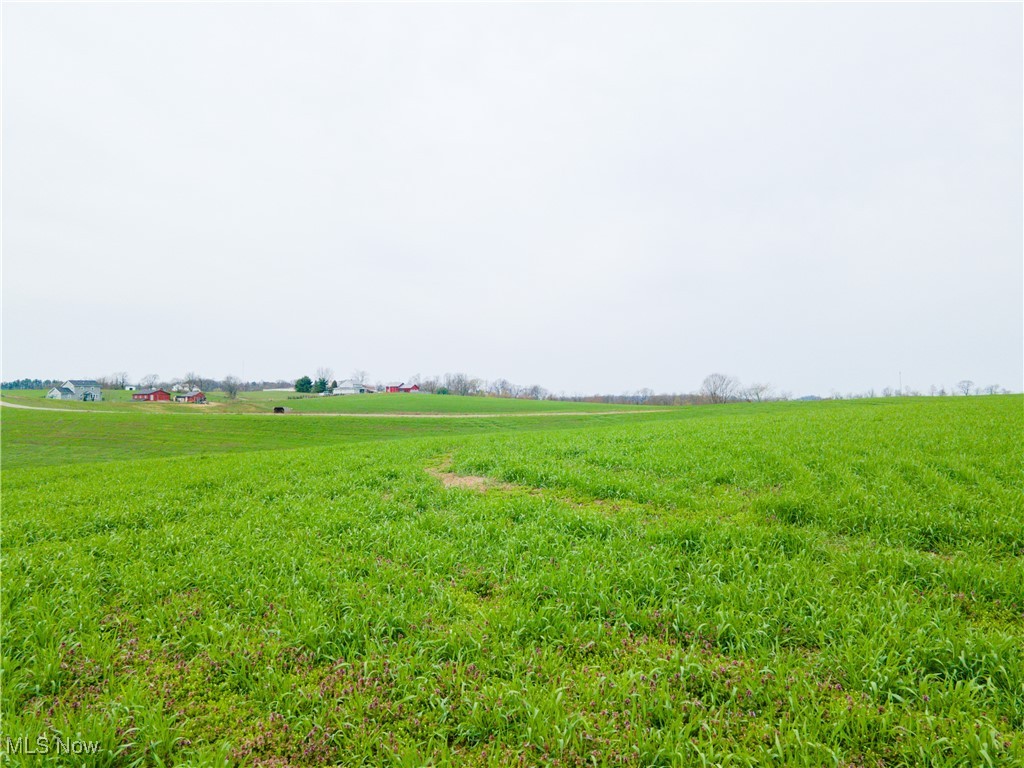 Hilltop Road, Baltic, Ohio image 10
