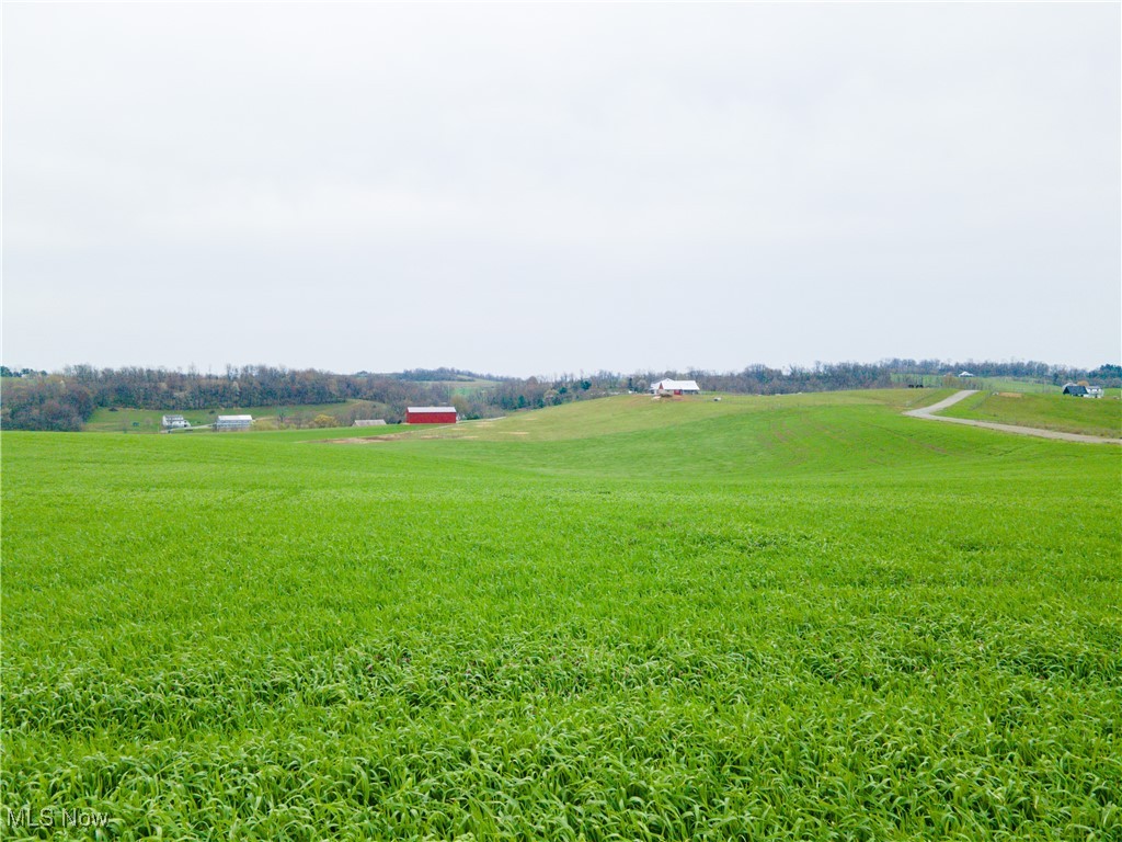 Hilltop Road, Baltic, Ohio image 13