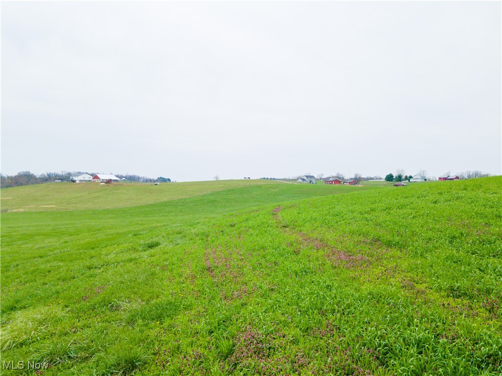 Hilltop Road, Baltic, Ohio image 9