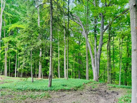 Photo for 3995 Som Center Road