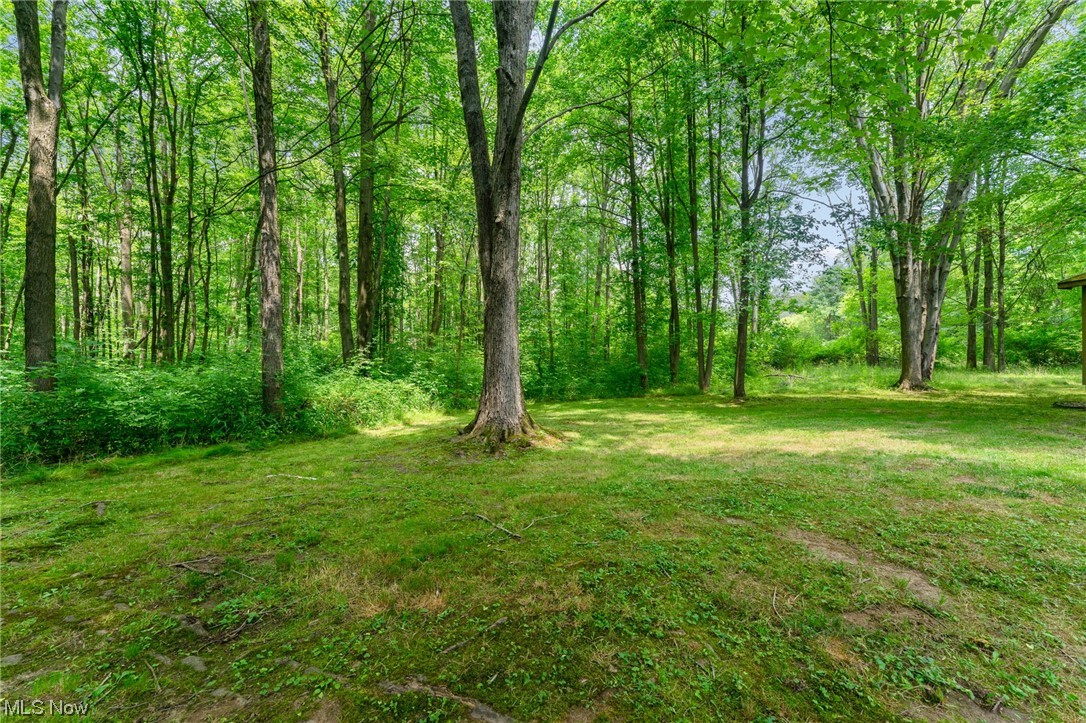 Lordstown Township Secs 21 & 2 - Residential