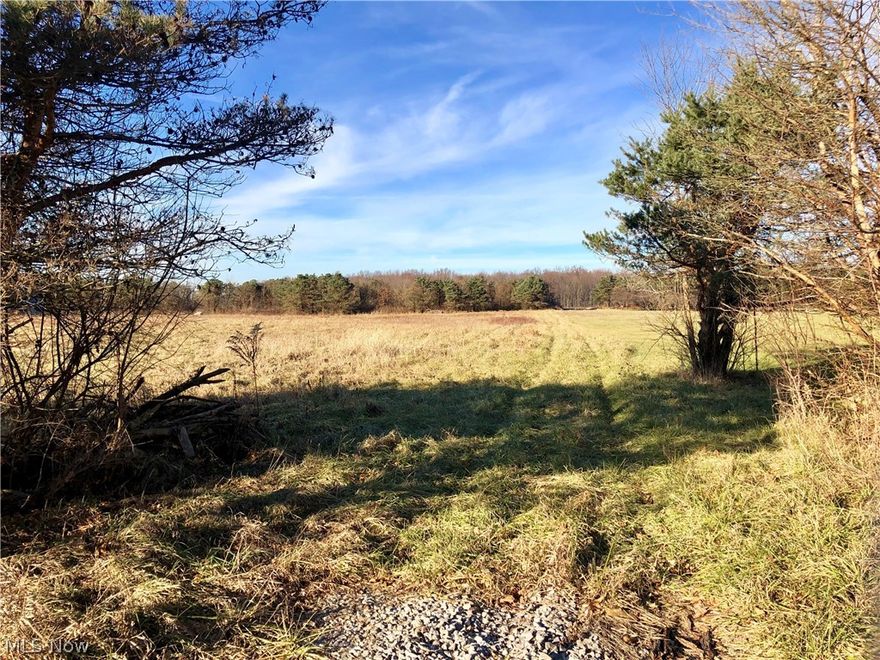 Great building lot in Northwestern School District - Soils have been tested and seller has letter from Wayne County Health Dept. stating type of septic required.